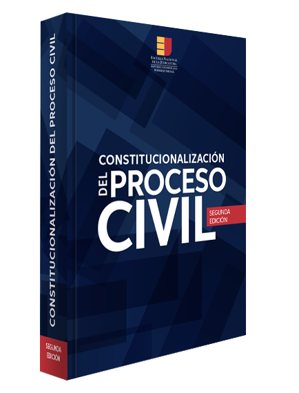 Constitucionalización del proceso civil